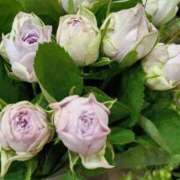 ヒメ日記 2025/09/02 06:08 投稿 斉藤恵 セレブショップ新宿（東京ハレ系）