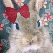 ヒメ日記 2025/09/03 21:11 投稿 斉藤恵 セレブショップ新宿（東京ハレ系）