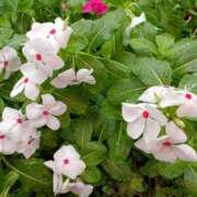 ヒメ日記 2025/09/05 10:56 投稿 斉藤恵 セレブショップ新宿（東京ハレ系）