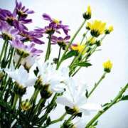 ヒメ日記 2025/09/06 07:54 投稿 斉藤恵 セレブショップ新宿（東京ハレ系）