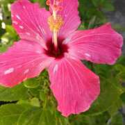 ヒメ日記 2025/09/07 07:15 投稿 斉藤恵 セレブショップ新宿（東京ハレ系）