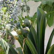 ヒメ日記 2025/09/09 13:01 投稿 斉藤恵 セレブショップ新宿（東京ハレ系）