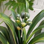 ヒメ日記 2025/09/10 00:15 投稿 斉藤恵 セレブショップ新宿（東京ハレ系）