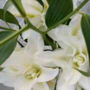 ヒメ日記 2025/09/10 07:15 投稿 斉藤恵 セレブショップ新宿（東京ハレ系）