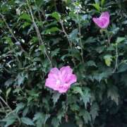 ヒメ日記 2025/09/13 08:02 投稿 斉藤恵 セレブショップ新宿（東京ハレ系）