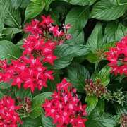 ヒメ日記 2025/09/14 18:31 投稿 斉藤恵 セレブショップ新宿（東京ハレ系）