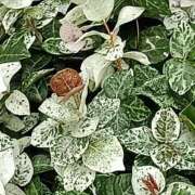 ヒメ日記 2025/09/14 22:59 投稿 斉藤恵 セレブショップ新宿（東京ハレ系）