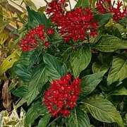 ヒメ日記 2025/09/15 23:31 投稿 斉藤恵 セレブショップ新宿（東京ハレ系）