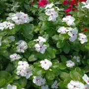 ヒメ日記 2025/09/16 10:45 投稿 斉藤恵 セレブショップ新宿（東京ハレ系）