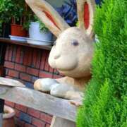 ヒメ日記 2025/09/16 19:30 投稿 斉藤恵 セレブショップ新宿（東京ハレ系）