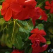 ヒメ日記 2025/09/19 00:15 投稿 斉藤恵 セレブショップ新宿（東京ハレ系）