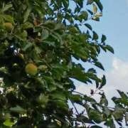 ヒメ日記 2025/09/19 11:20 投稿 斉藤恵 セレブショップ新宿（東京ハレ系）