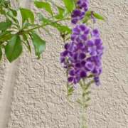 ヒメ日記 2025/09/20 00:15 投稿 斉藤恵 セレブショップ新宿（東京ハレ系）