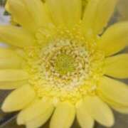 ヒメ日記 2025/09/20 05:52 投稿 斉藤恵 セレブショップ新宿（東京ハレ系）