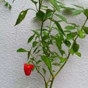 ヒメ日記 2025/09/20 11:01 投稿 斉藤恵 セレブショップ新宿（東京ハレ系）