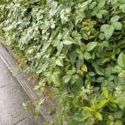 ヒメ日記 2025/09/20 15:31 投稿 斉藤恵 セレブショップ新宿（東京ハレ系）