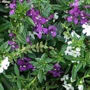 ヒメ日記 2025/09/21 18:45 投稿 斉藤恵 セレブショップ新宿（東京ハレ系）