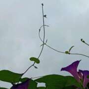 ヒメ日記 2025/09/22 05:12 投稿 斉藤恵 セレブショップ新宿（東京ハレ系）