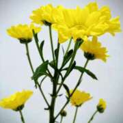 ヒメ日記 2025/09/24 10:39 投稿 斉藤恵 セレブショップ新宿（東京ハレ系）