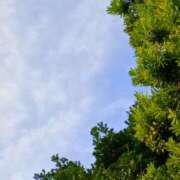 ヒメ日記 2025/09/26 10:57 投稿 斉藤恵 セレブショップ新宿（東京ハレ系）