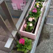 ヒメ日記 2025/09/30 05:37 投稿 斉藤恵 セレブショップ新宿（東京ハレ系）