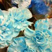 ヒメ日記 2025/09/30 10:30 投稿 斉藤恵 セレブショップ新宿（東京ハレ系）