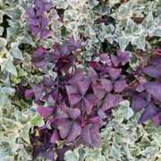 ヒメ日記 2025/10/01 22:45 投稿 斉藤恵 セレブショップ新宿（東京ハレ系）