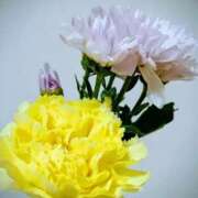 ヒメ日記 2025/10/04 13:15 投稿 斉藤恵 セレブショップ新宿（東京ハレ系）