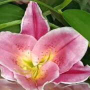 ヒメ日記 2025/10/05 07:15 投稿 斉藤恵 セレブショップ新宿（東京ハレ系）