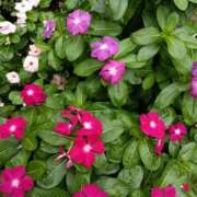 ヒメ日記 2025/10/05 18:45 投稿 斉藤恵 セレブショップ新宿（東京ハレ系）