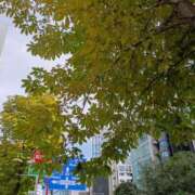 ヒメ日記 2025/10/06 16:00 投稿 斉藤恵 セレブショップ新宿（東京ハレ系）