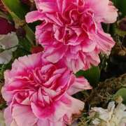 ヒメ日記 2025/10/07 07:01 投稿 斉藤恵 セレブショップ新宿（東京ハレ系）