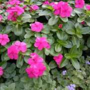 ヒメ日記 2025/10/08 07:15 投稿 斉藤恵 セレブショップ新宿（東京ハレ系）