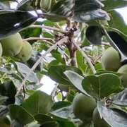 ヒメ日記 2025/10/09 05:51 投稿 斉藤恵 セレブショップ新宿（東京ハレ系）