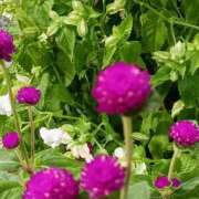 ヒメ日記 2025/10/11 16:41 投稿 斉藤恵 セレブショップ新宿（東京ハレ系）