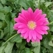 ヒメ日記 2025/10/11 18:01 投稿 斉藤恵 セレブショップ新宿（東京ハレ系）