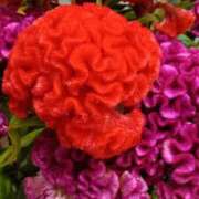 ヒメ日記 2025/10/12 07:15 投稿 斉藤恵 セレブショップ新宿（東京ハレ系）