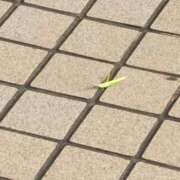 ヒメ日記 2025/10/14 05:56 投稿 斉藤恵 セレブショップ新宿（東京ハレ系）