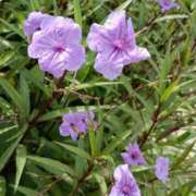 ヒメ日記 2025/10/14 10:01 投稿 斉藤恵 セレブショップ新宿（東京ハレ系）