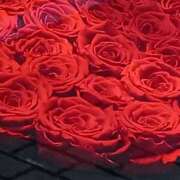 ヒメ日記 2025/10/15 17:33 投稿 斉藤恵 セレブショップ新宿（東京ハレ系）