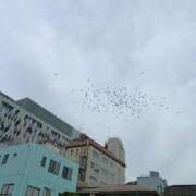 ヒメ日記 2025/10/17 06:00 投稿 斉藤恵 セレブショップ新宿（東京ハレ系）