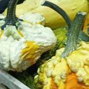 ヒメ日記 2025/10/19 18:31 投稿 斉藤恵 セレブショップ新宿（東京ハレ系）