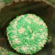 ヒメ日記 2025/10/21 12:05 投稿 斉藤恵 セレブショップ新宿（東京ハレ系）