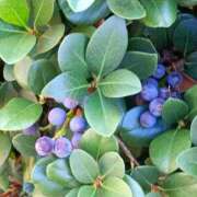 ヒメ日記 2025/10/22 10:01 投稿 斉藤恵 セレブショップ新宿（東京ハレ系）