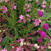 ヒメ日記 2025/10/23 18:30 投稿 斉藤恵 セレブショップ新宿（東京ハレ系）