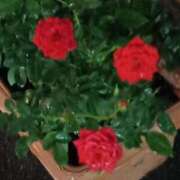 ヒメ日記 2025/10/24 20:37 投稿 斉藤恵 セレブショップ新宿（東京ハレ系）