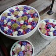 ヒメ日記 2025/10/25 20:45 投稿 斉藤恵 セレブショップ新宿（東京ハレ系）