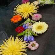 ヒメ日記 2025/10/26 05:54 投稿 斉藤恵 セレブショップ新宿（東京ハレ系）