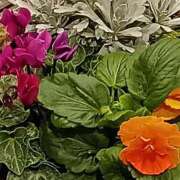 ヒメ日記 2025/10/26 23:53 投稿 斉藤恵 セレブショップ新宿（東京ハレ系）