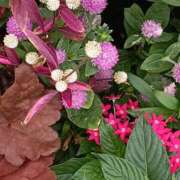 ヒメ日記 2025/10/27 01:00 投稿 斉藤恵 セレブショップ新宿（東京ハレ系）